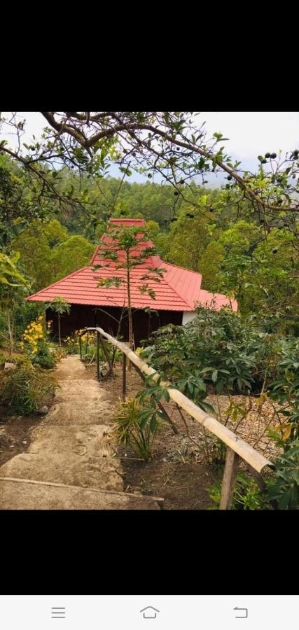 Home Stay Wolokoro Ecotourism Bajawa Exterior foto