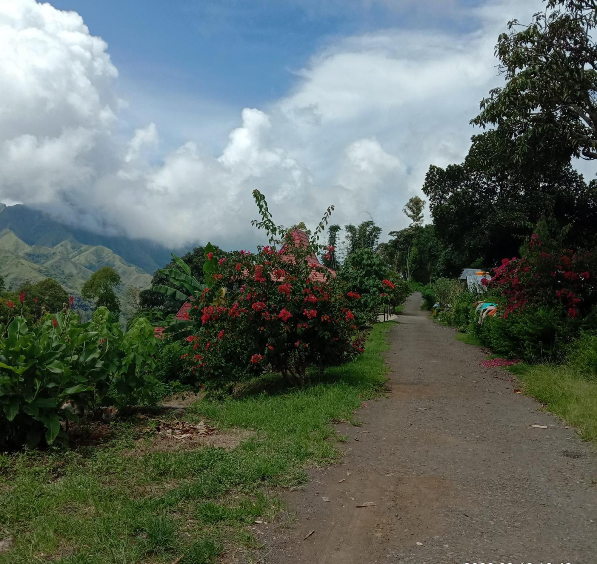 Home Stay Wolokoro Ecotourism Bajawa Zimmer foto